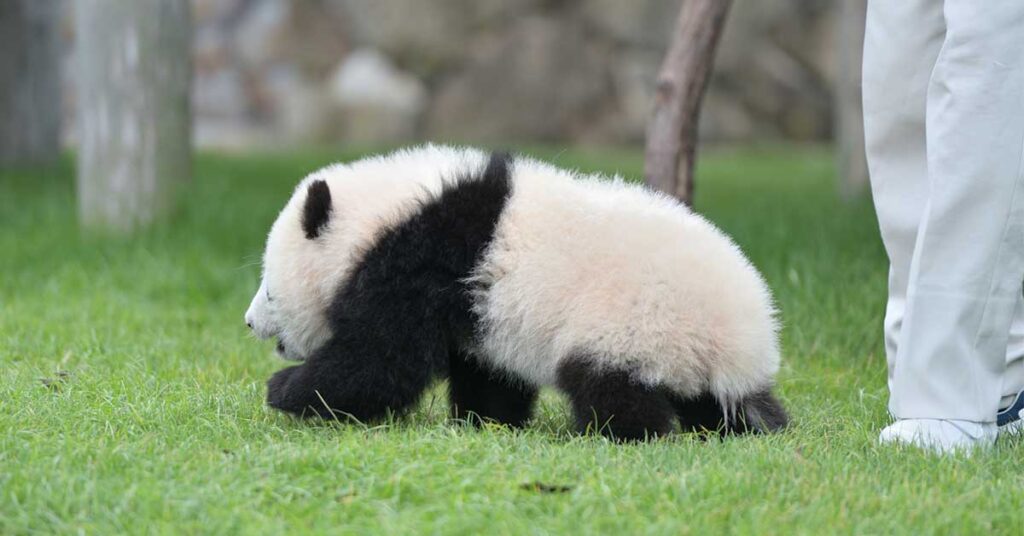 手を出してはいけない金融商品とは